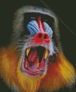 Red Nose Baboon Monkey Diamond Painting