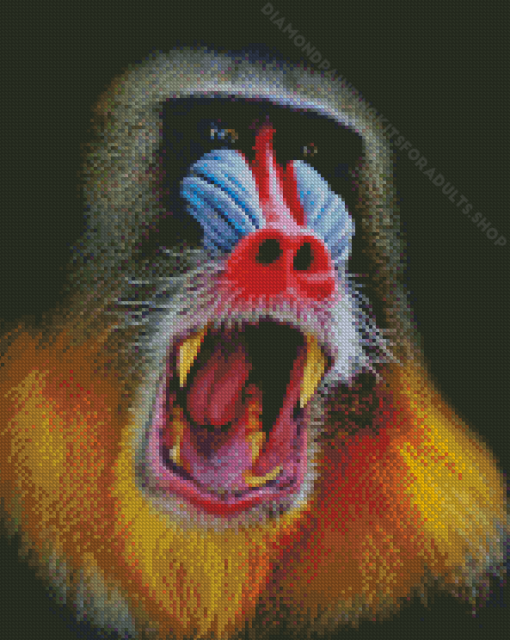 Red Nose Baboon Monkey Diamond Painting