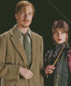 Remus Lupin and Nymphadora Diamond Painting