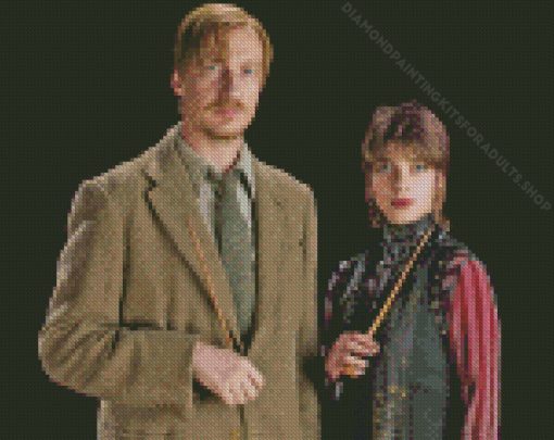 Remus Lupin and Nymphadora Diamond Painting