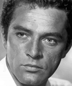 Richard Burton Diamond Painting