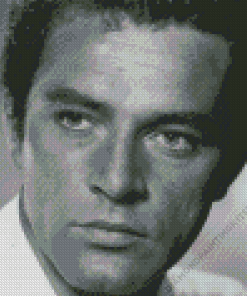 Richard Burton Diamond Painting