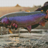 Steelhead Fish Diamond Painting