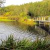 Tafelberg National Park Diamond Painting