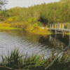 Tafelberg National Park Diamond Painting