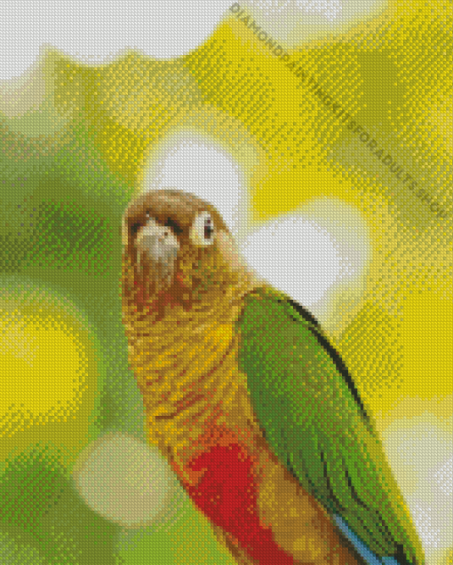 The Green Cheek Conure Parrot Bird Diamond Painting