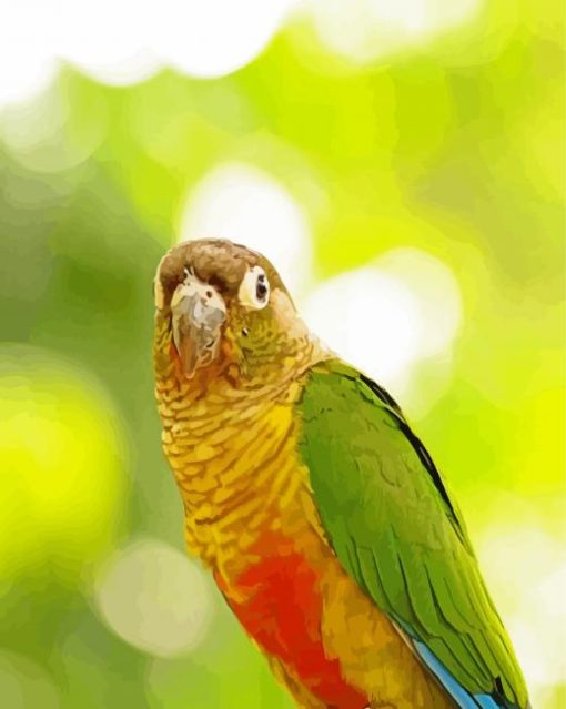 The Green Cheek Conure Parrot Bird Diamond Painting