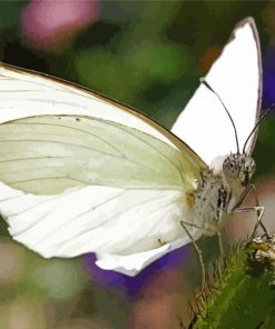 White Butterfly Diamond Painting