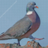 Wood Pigeon Bird Diamond Painting