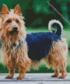 Adorable Australian Terrier Dog Diamond Painting