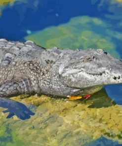 American Crocodile In Water Diamond Painting