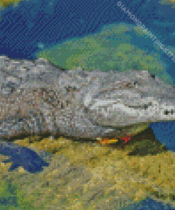 American Crocodile In Water Diamond Painting