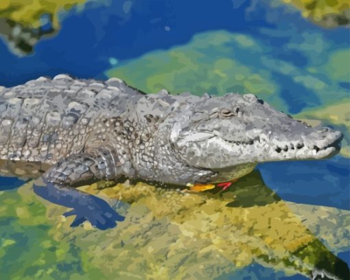 American Crocodile In Water Diamond Painting