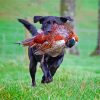 Black Labrador Dog Hunting Bird Diamond Painting