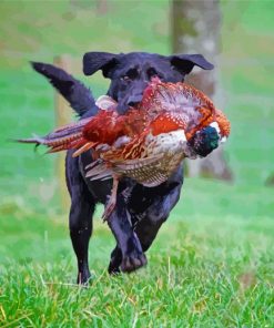 Black Labrador Dog Hunting Bird Diamond Painting