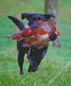 Black Labrador Dog Hunting Bird Diamond Painting