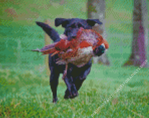 Black Labrador Dog Hunting Bird Diamond Painting