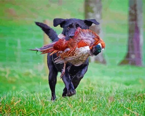 Black Labrador Dog Hunting Bird Diamond Painting