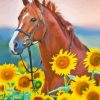 Brown Horse in Sunflower Field Diamond Painting