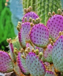 Cactus Purple Plant Diamond Painting