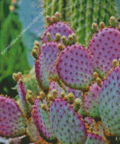 Cactus Purple Plant Diamond Painting