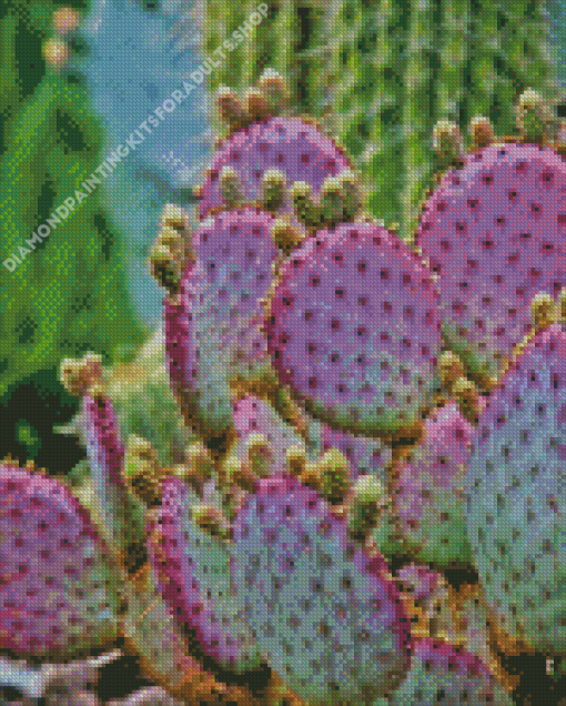 Cactus Purple Plant Diamond Painting