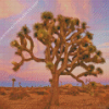 California Joshua Tree National Park Diamond Painting