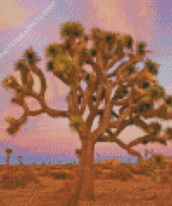 California Joshua Tree National Park Diamond Painting