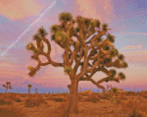 California Joshua Tree National Park Diamond Painting