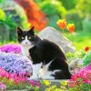 Cat In a Flowery Garden Diamond Painting