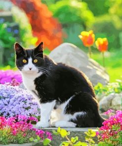 Cat In a Flowery Garden Diamond Painting