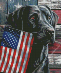 Cool Black Lab With Flag Diamond Painting