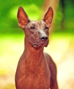 Hairless Mexican Dog Diamond Painting