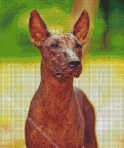 Hairless Mexican Dog Diamond Painting