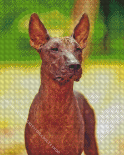 Hairless Mexican Dog Diamond Painting