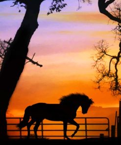 Horse Silhouette Sunset Diamond Painting