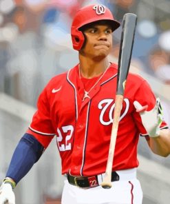 Juan Soto Washington Nationals Baseballer Diamond Painting