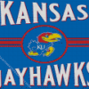 Kansas Jayhawks Basketball Team Logo Diamond Painting