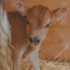 Little Baby Cow Diamond Painting