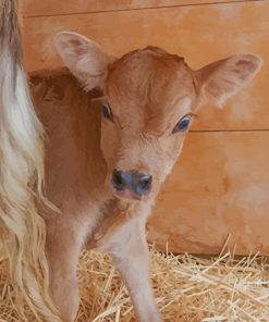 Little Baby Cow Diamond Painting