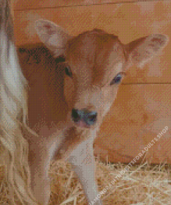 Little Baby Cow Diamond Painting