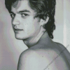 Monochrome Joe Keery Diamond Painting