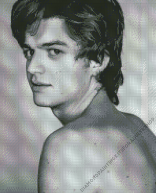 Monochrome Joe Keery Diamond Painting