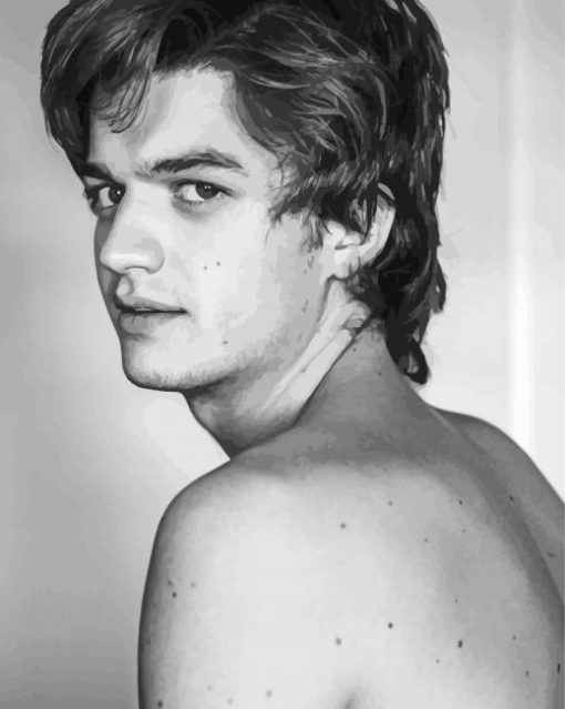 Monochrome Joe Keery Diamond Painting