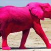 Pink Elephant Diamond Painting