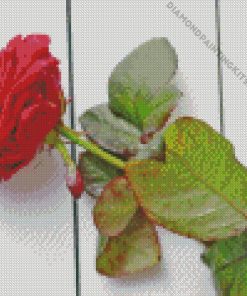 Red Single Flower on Table Diamond Painting