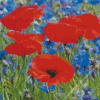 Red Poppies And Blue Cornflowers Diamond Painting