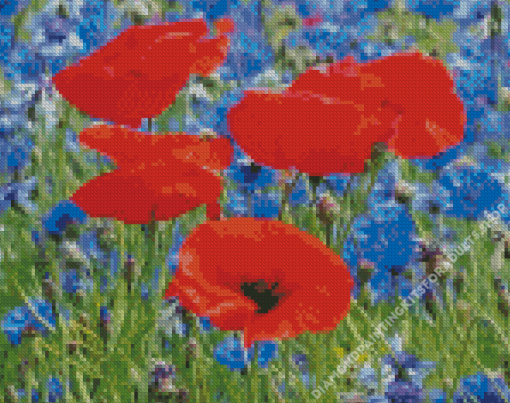 Red Poppies And Blue Cornflowers Diamond Painting