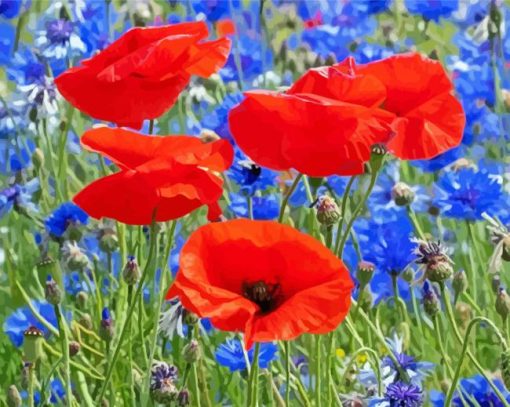 Red Poppies And Blue Cornflowers Diamond Painting