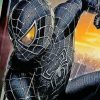 Superhero Black Spiderman Diamond Painting